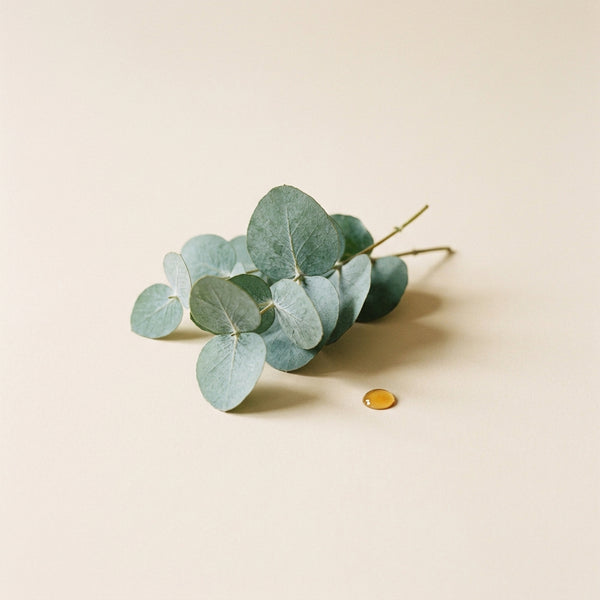 Eucalyptus